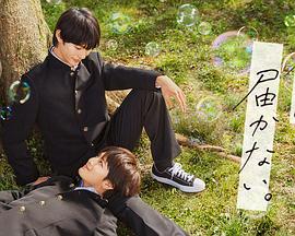 高斯奥特曼中文版